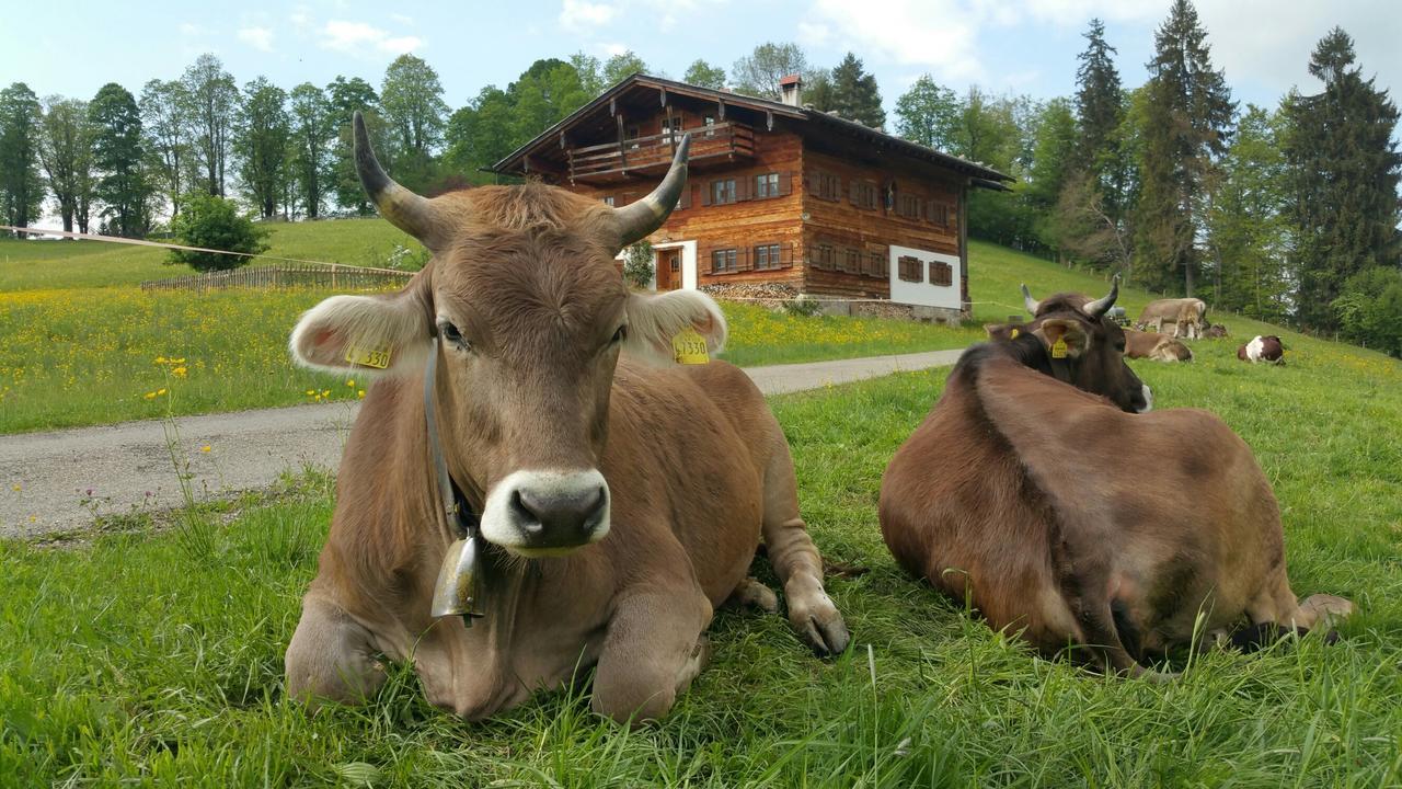 Hotel Cafe Fuggerhof Oberstdorf Exterior photo